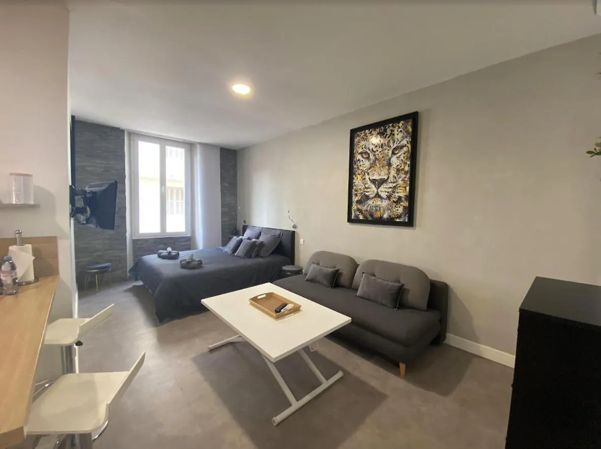 Paca Properties 41H2 - Studio Cosy Cannes